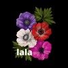 lalastylist
